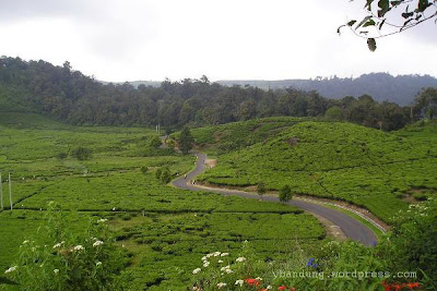 LET'S TOUR IN INDONESIA: Mau LIBURAN ??? yuuk intip ke kota kembang